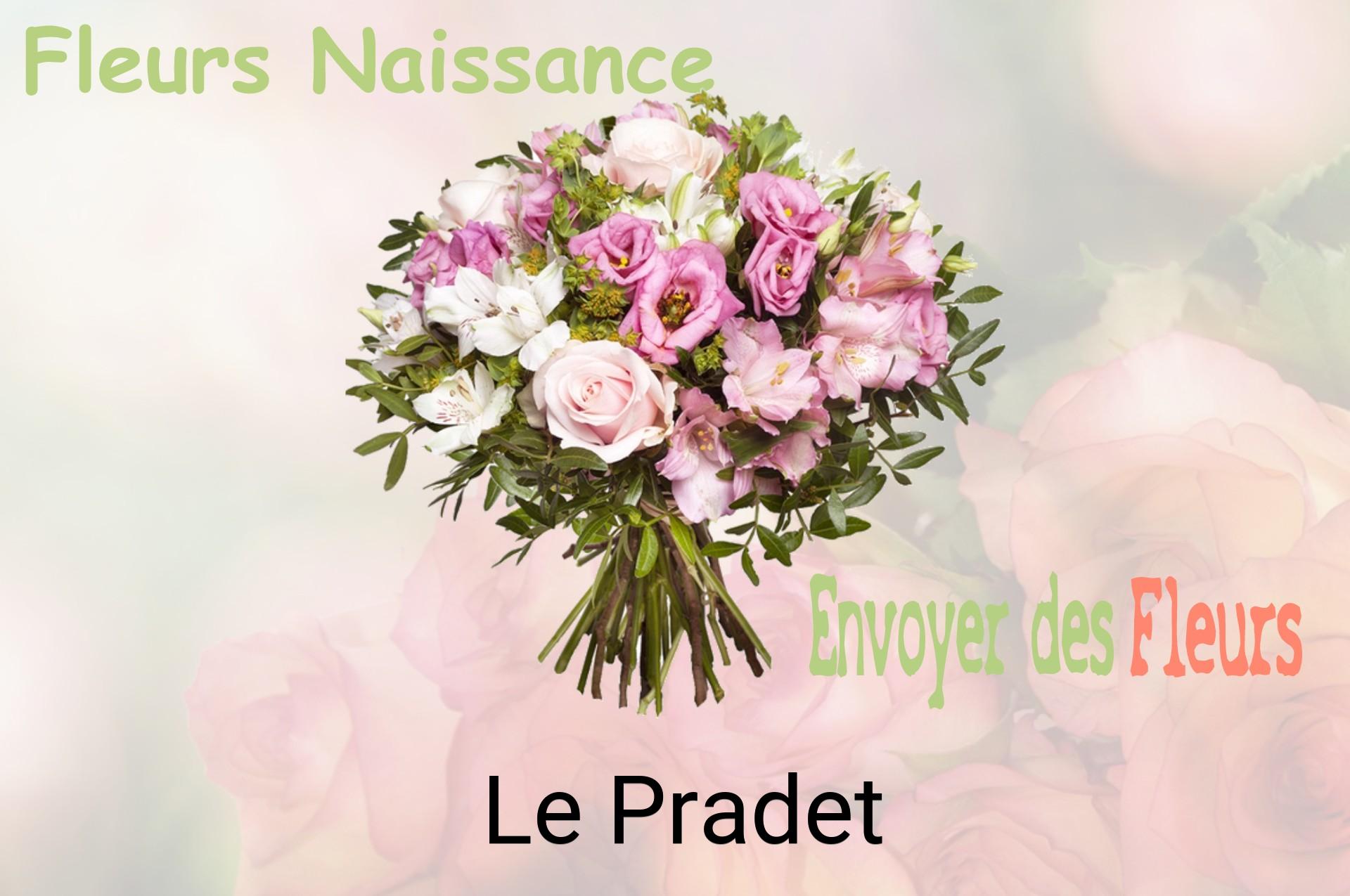 Bouquet de fleurs de naissance livré à Le Pradet